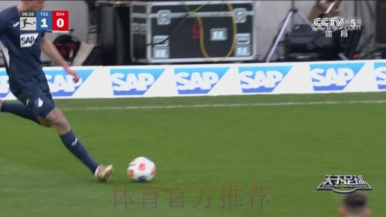 布格尔进球 霍芬海姆战胜勒沃库森 布格尔进球 霍芬海姆战胜勒沃库森